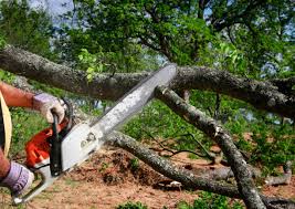 Best Lot and Land Clearing  in Salmon, ID